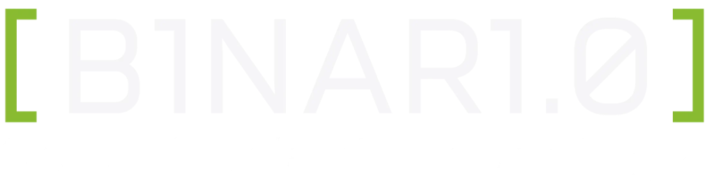 BINAR 1.0